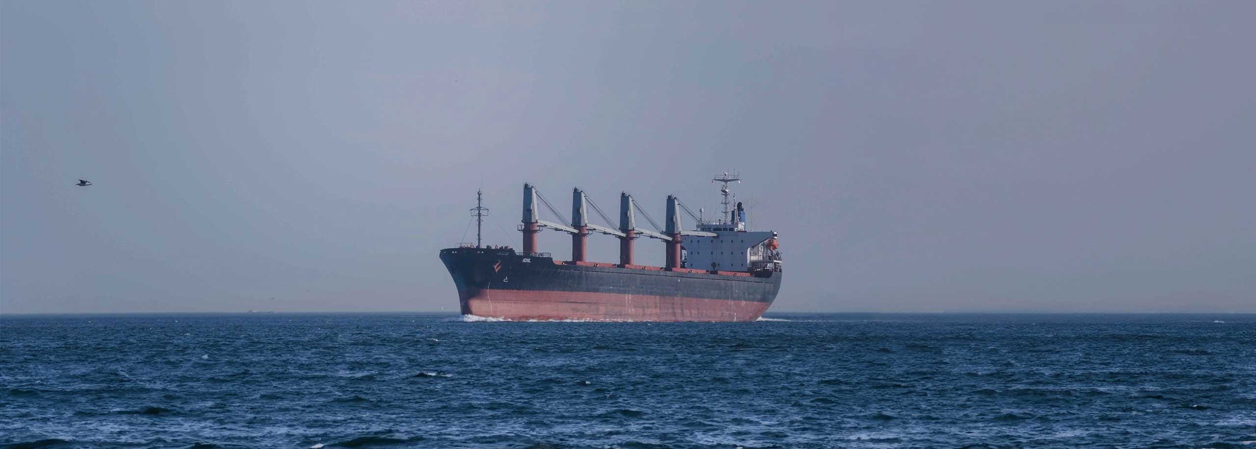 Metizoft skip. Foto: Mostafa Meraji/Wikimedia Commons